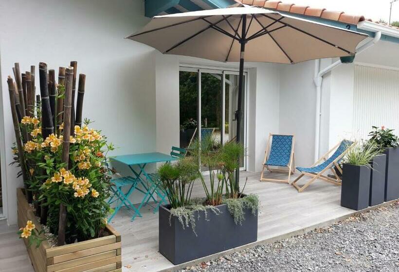 ベッドアンドブレックファースト Chambre D Hôtes Du Pin