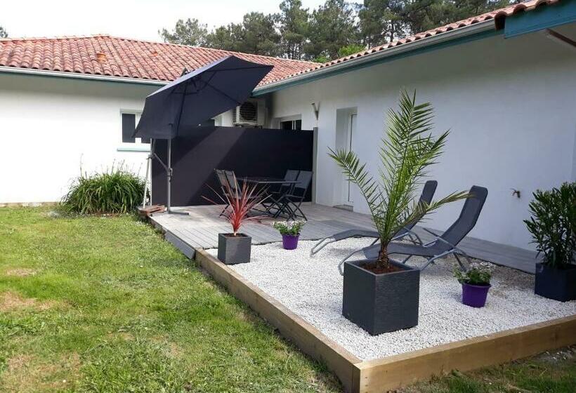 ベッドアンドブレックファースト Chambre D Hôtes Du Pin