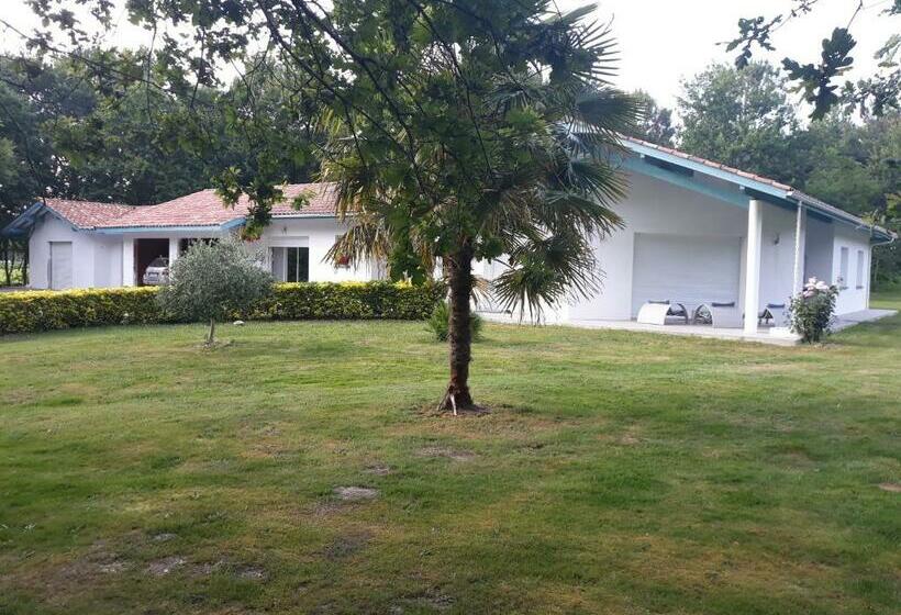 ベッドアンドブレックファースト Chambre D Hôtes Du Pin