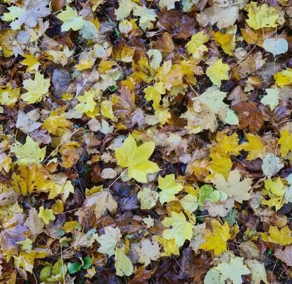 ベッドアンドブレックファースト Maison D Hôtes Au Cœur Des Lacs