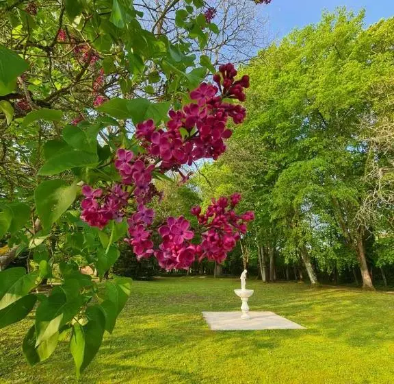 ベッドアンドブレックファースト Maison D Hôtes Au Cœur Des Lacs