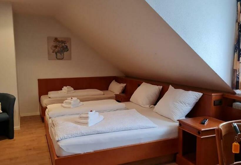 בית מלון כפרי Ferien & Business Apartments Hohenfels