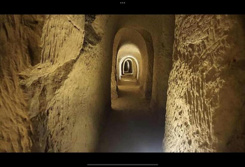 פנסיון Auximum Appartamenti