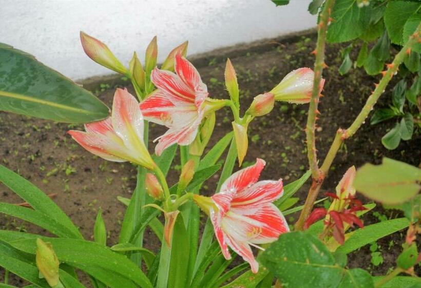 פנסיון Dimora D Estate