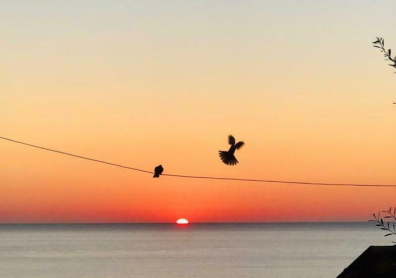 住宿加早餐  Evergreen