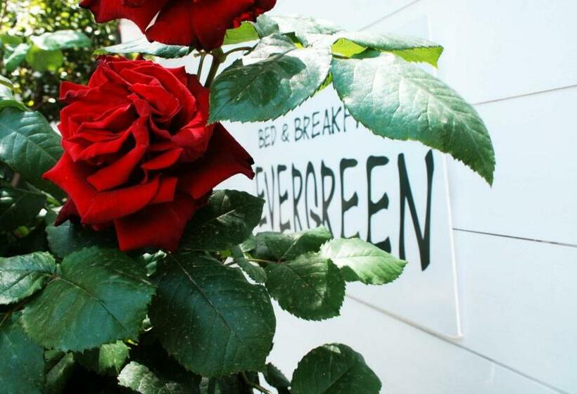 住宿加早餐  Evergreen