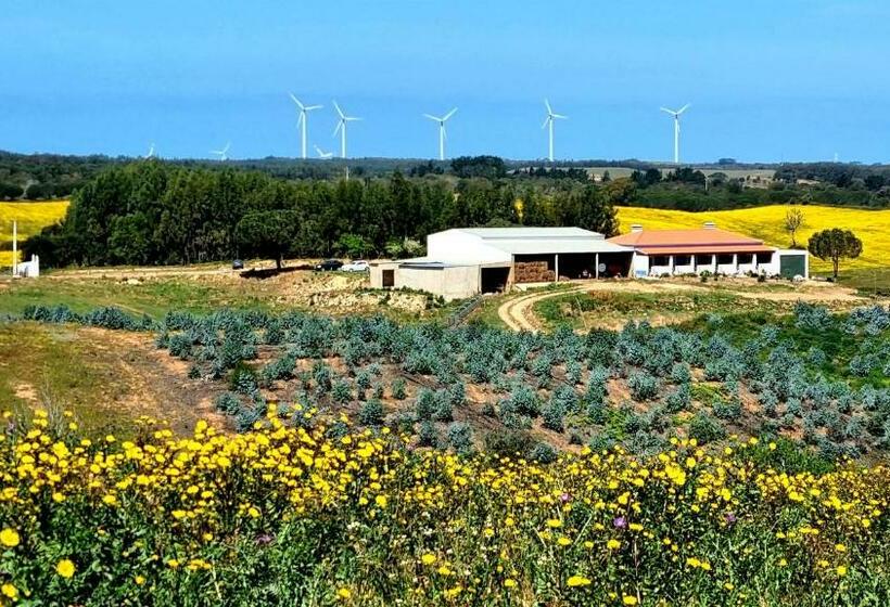 בית מלון כפרי Herdade Monte Novo Do Pocinho