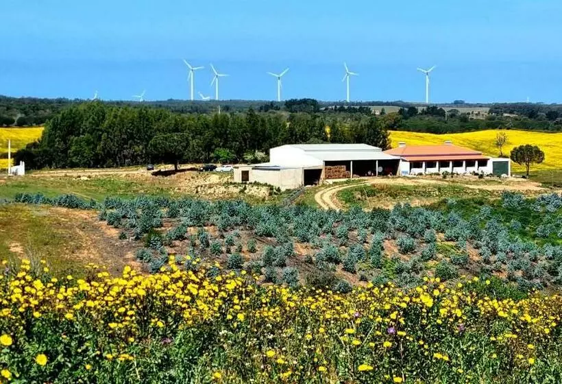 ホテル Herdade Monte Novo Do Pocinho
