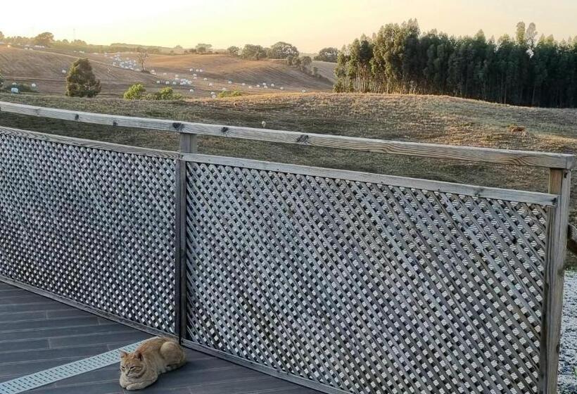 בית מלון כפרי Herdade Monte Novo Do Pocinho