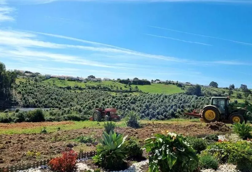 ホテル Herdade Monte Novo Do Pocinho
