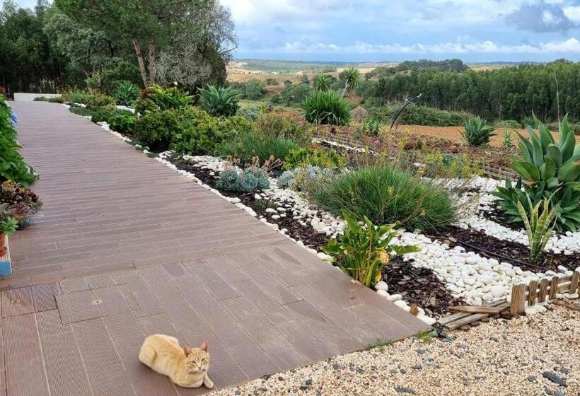 בית מלון כפרי Herdade Monte Novo Do Pocinho