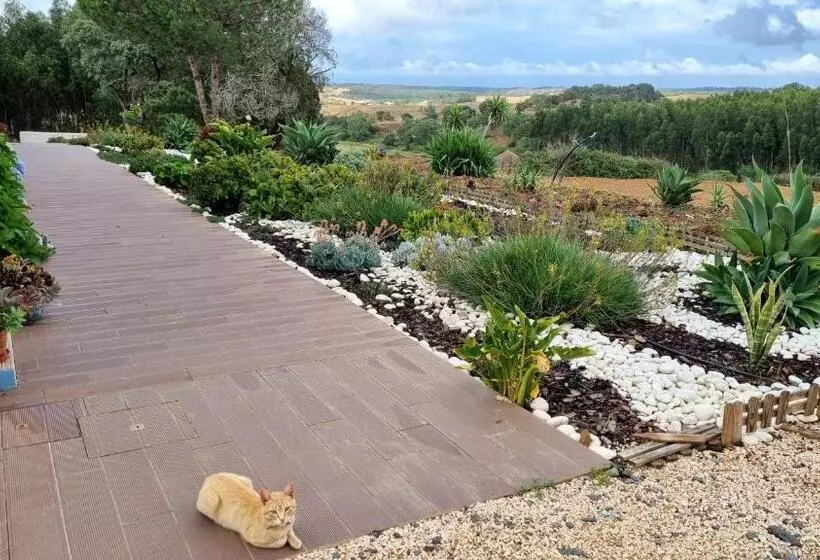 ホテル Herdade Monte Novo Do Pocinho
