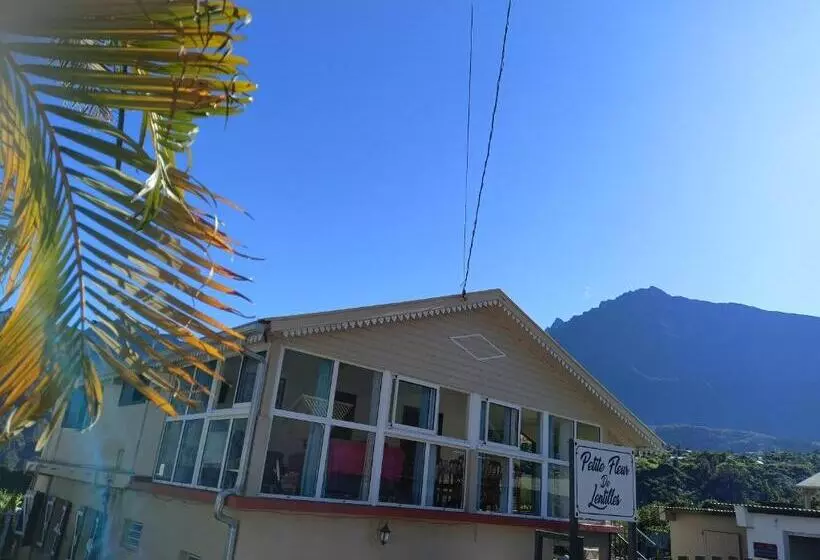 پانسیون Petite Fleur De Lentilles