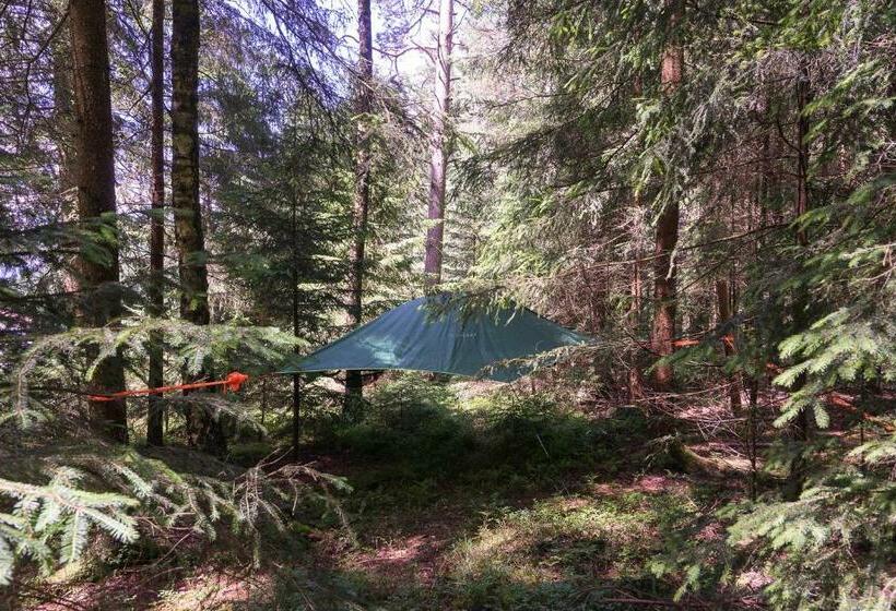 Bed and Breakfast Baumzelt Im Wald