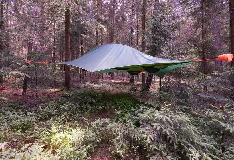 Aamiaismajoitus (B&B) Baumzelt Im Wald