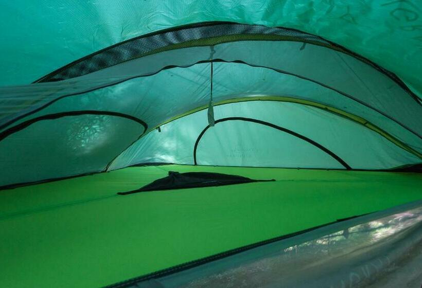 Bed and Breakfast Baumzelt Im Wald