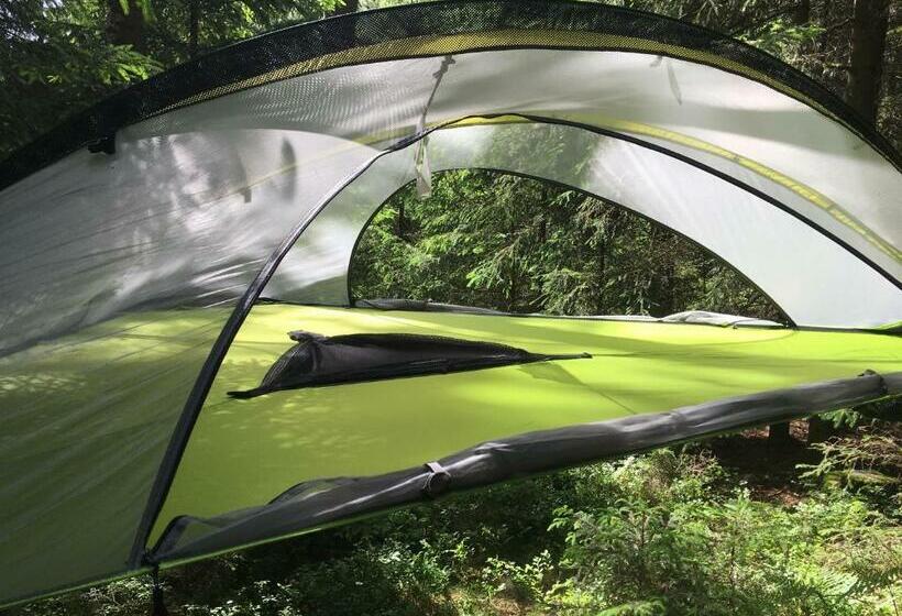 Bed and Breakfast Baumzelt Im Wald