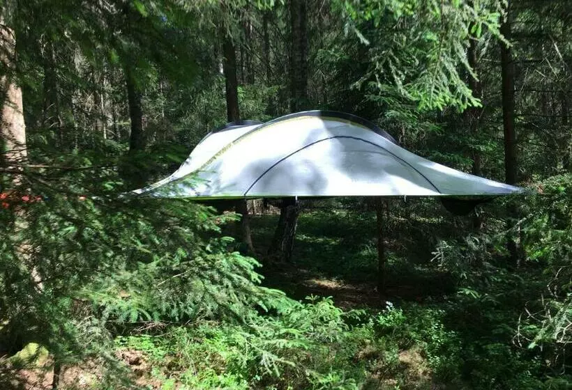 Aamiaismajoitus (B&B) Baumzelt Im Wald