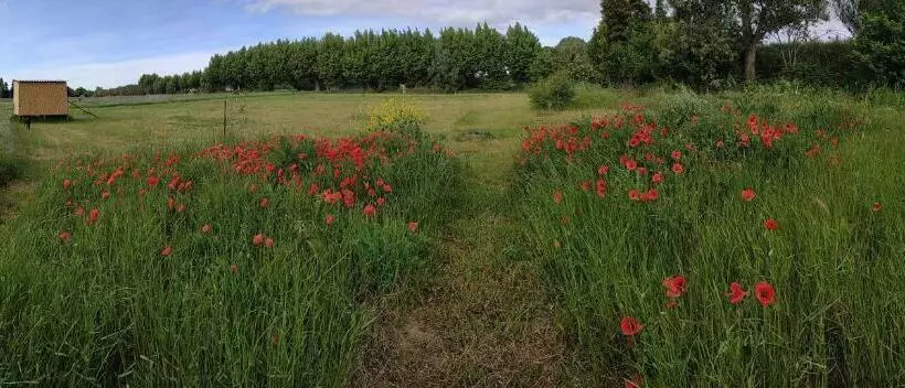Aamiaismajoitus (B&B) La Ferme Des Escampades