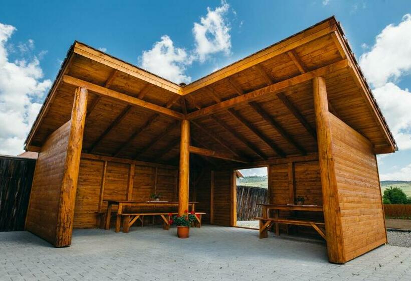 住宿加早餐  Vendégváró Panzió