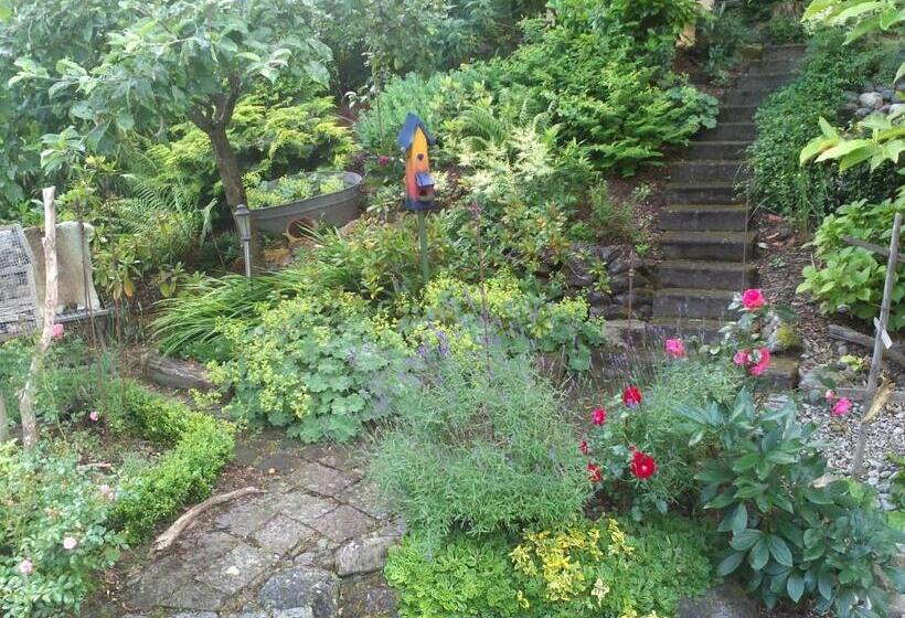 Bed & Breakfast Bodensee Mit Herz