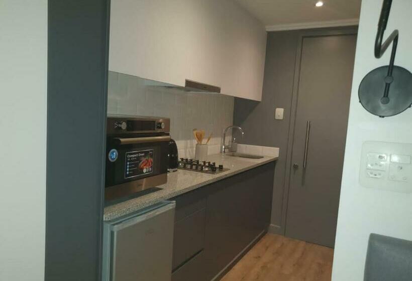 膳宿费 Executive Condo Studio Apartments