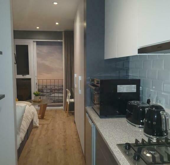 膳宿费 Executive Condo Studio Apartments