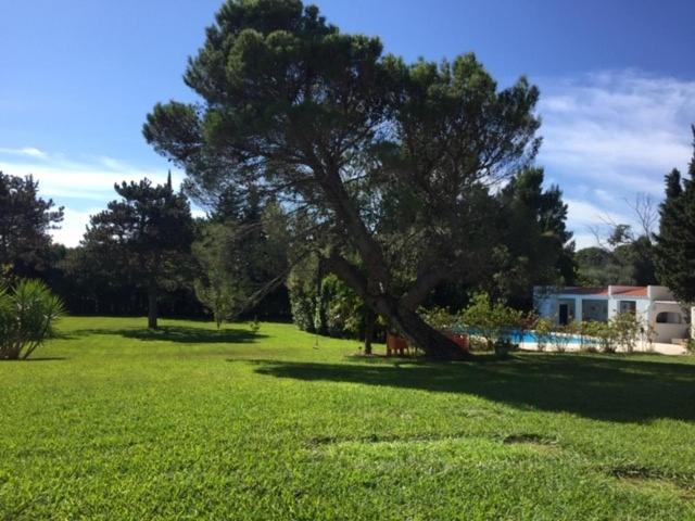 مبيت وإفطار Domaine Les Vinyes