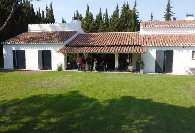 مبيت وإفطار Domaine Les Vinyes