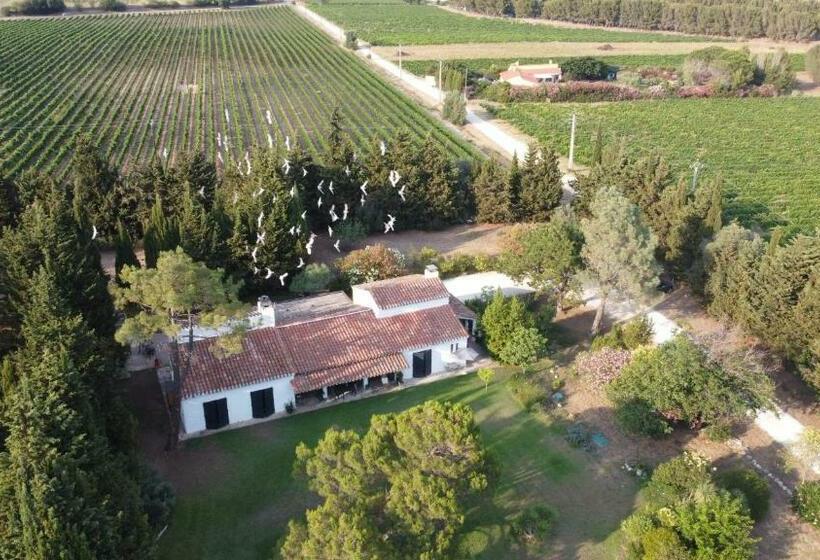 مبيت وإفطار Domaine Les Vinyes