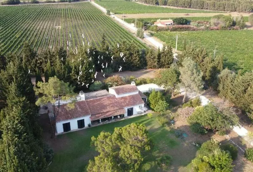 Aamiaismajoitus (B&B) Domaine Les Vinyes