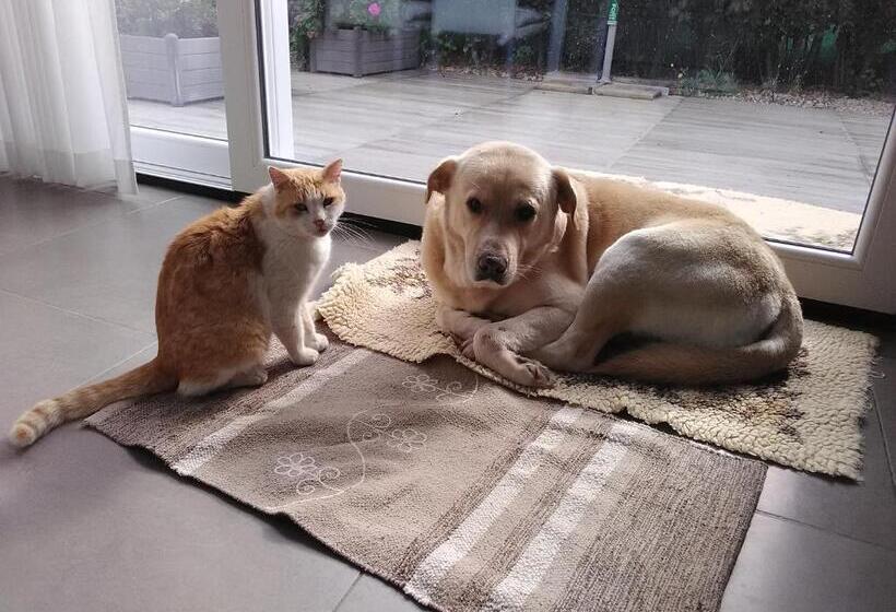 住宿加早餐  La Dimora Di Ntò