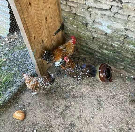 ベッドアンドブレックファースト La Fossette