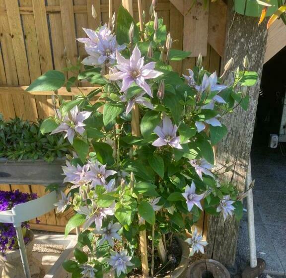 مبيت وإفطار La Fossette