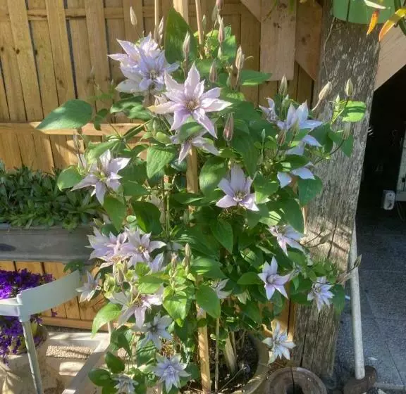 ベッドアンドブレックファースト La Fossette