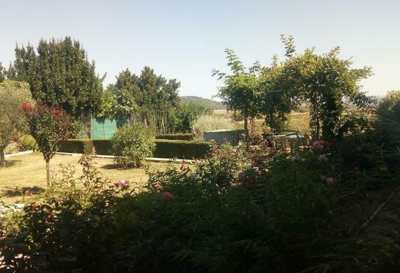 Bed and Breakfast La Vigneronne