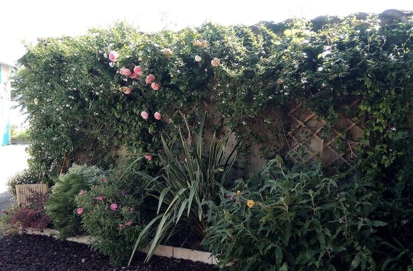 Bed and Breakfast La Vigneronne