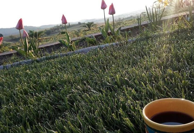 Bed and Breakfast La Vigneronne