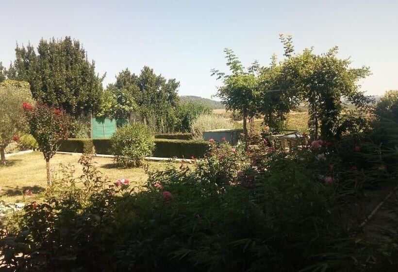 Bed and Breakfast La Vigneronne