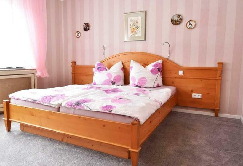 بنسيون Gästehaus Steinborn