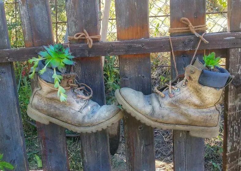 ペンション La Fonte Di Gaiche