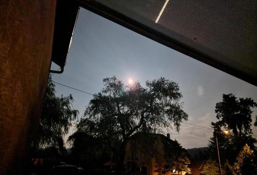 ペンション Penzion U Jezevce