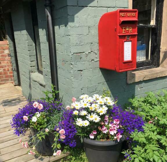 مبيت وإفطار The Garden Suite