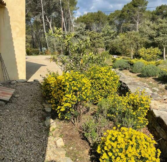 مبيت وإفطار Villa Peylon