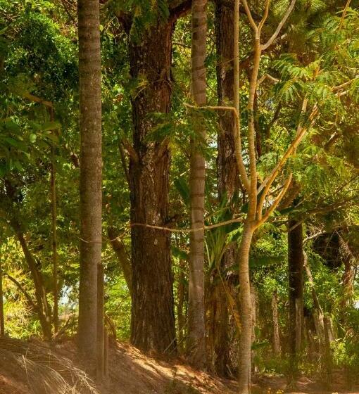 Pension Pousada Villa Aurora