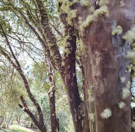 Pension Pousada Villa Aurora