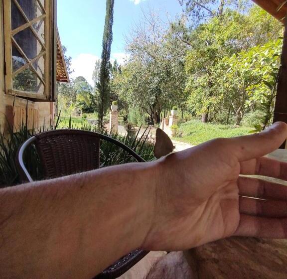 Pension Pousada Villa Aurora