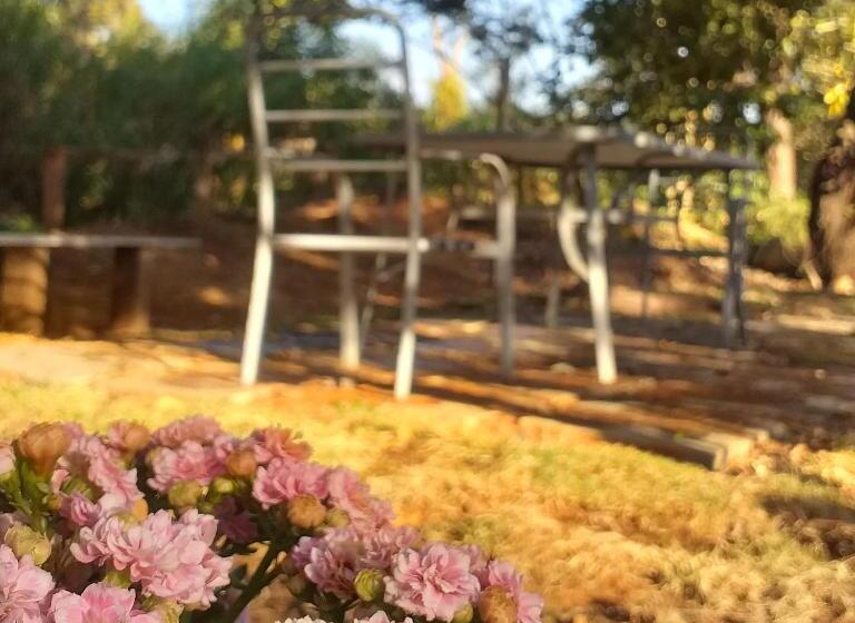 Pension Pousada Villa Aurora