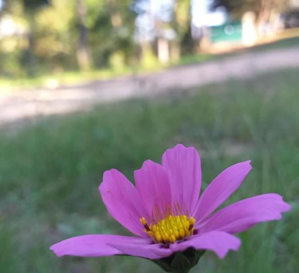 Pension Pousada Villa Aurora