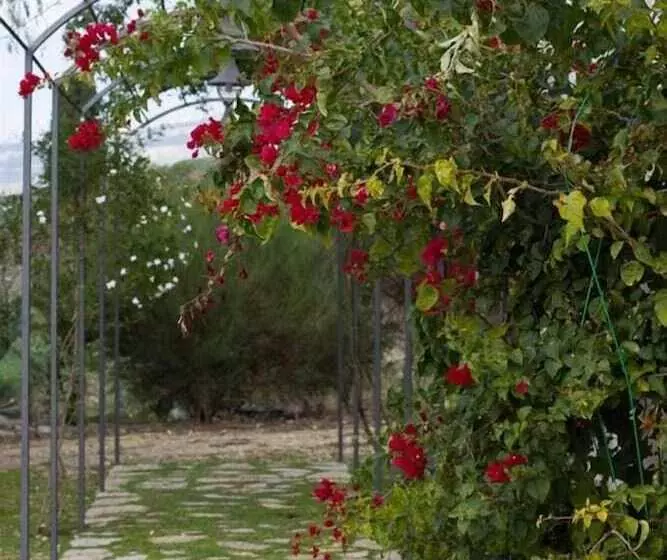 Agriturismo Baglio Donna Santa